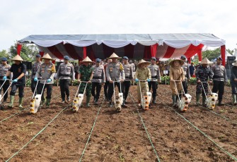 Polda Banten Laksanakan Gerakan Penanaman Jagung 1 Juta Hektar