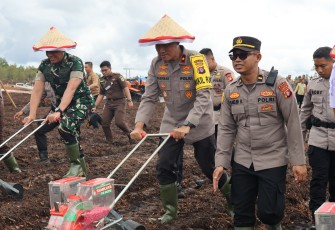 Polda Kalteng Tanam Jagung di Lahan 1.200 Hektare
