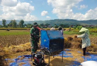 Serka Heri Irawan Turun ke Sawah