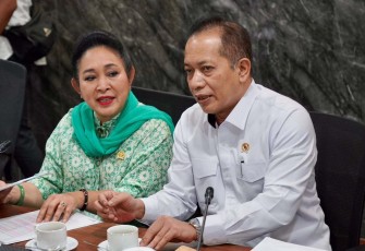 Menkop Ferry Juliantono 