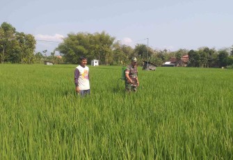 Pendampingan petani wilayah desa binaan 
