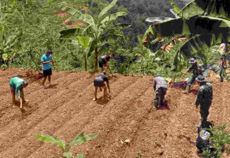 Tanam sayur mayur di lokasi TMMD ke 126 Kodim Pacitan 