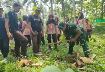 Tanam seribu pohon Gondang di wilayah kabupaten Trenggalek 