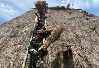Renovasi rumah adat Desa Maudemu