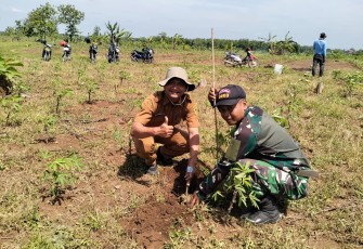 Gerakan Tanam 5.000 Pohon untuk Kelestarian Lingkungan