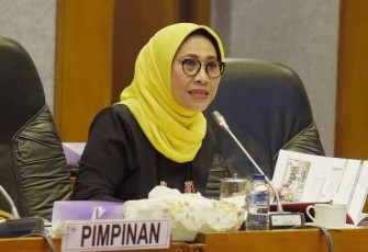 Ketua Komisi X DPR RI Hetifah Sjaifudian