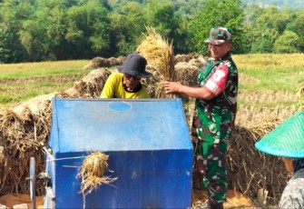 Bantu giling padi petani wilayah desa binaan 