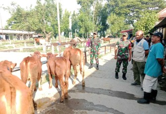 Pengawasan hewan ternak di pasar hewan Ngawi