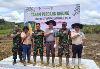 Tanam jagung perdana di perbatasan, Rabu (22/1)