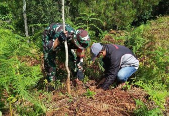 Penanaman pohon di desa Salubua Luwu