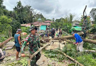 Tebang pohon bersama warga perbatasan 