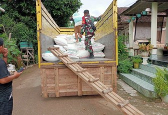 Penyerapan gabah petani desa binaan 