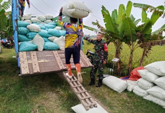 Babinsa Koramil 0805/03 Geneng Bersama PPL Lakukan Segap 