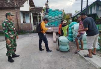 Anggota Koramil 0803-01/Taman Dampingi Penyerapan Gabah oleh Bulog di Kecamatan Taman 