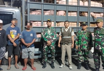 TNI AL Berhasil Gagalkan Penyelundupan 66 Ekor Tanpa Dokumen Resmi di Banyuwangi 