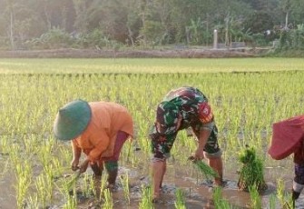 Tanam padi bersama warga binaan
