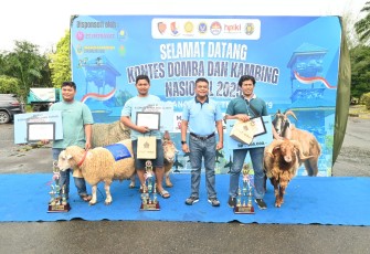 Kontes Domba dan Kambing  Nasional 2025 di Gelar di Eks Bandara Polonia Lanud Soewondo