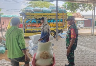 Babinsa Koramil Ngrambe Panen 19,7 Ton Padi, Siap Disalurkan ke Bulog