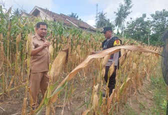 Polsek Belitang III Beri Imbauan Kepada Para Petani