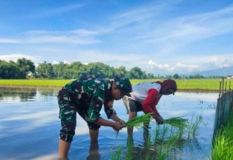 Koptu Ahmad Amir bantu petani desa binaan tanam padi