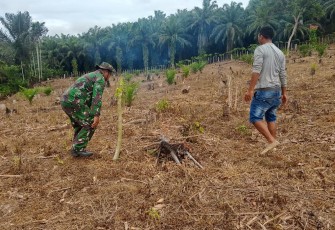 Anggota Satgas TMMD Ke-124 Kodim 0408/BS Bantu Warga Bersihkan Kebun Sawit