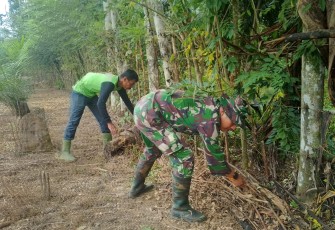 Anggota Satgas TMMD Ke-124 Kodim 040/BS  Bantu Warga Bersihkan Kebun Pinang