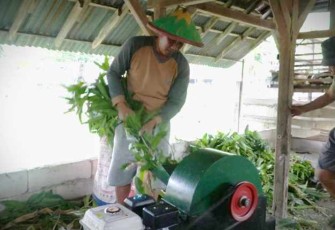 Mesin pencacah pakan ternak 