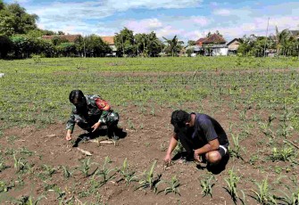 Pendampingan petani wilayah desa binaan 