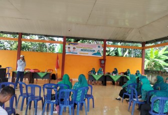 Pelatihan Peningkatan Kapasitas Kader PKK di Desa Kemuning Jaya