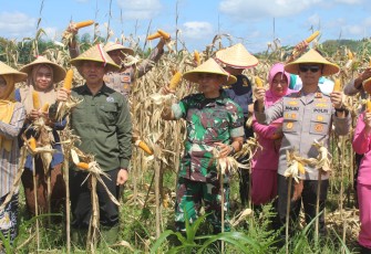 TNI–Polri Mantapkan Langkah Menuju Swasembada Pangan