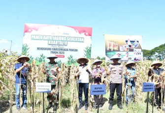 Dandim Ponorogo Ikut Panen Raya Jagung Serentak Kuartal II
