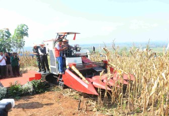 Kapolda Jatim Irjen Pol Nanang Avianto saat panen raya jagung di Kabupaten Ngawi, Kamis (5/6)