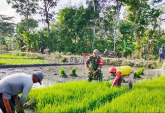 Ketahanan Pangan dan Dampaknya Bagi Bangsa Indonesia