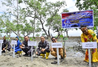 Satgas Trisila-25 dan Pemkab Nabire Tanam 1.000 Mangrove di Pesisir Samabusa