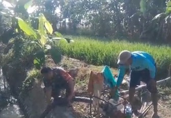 Babinsa Desa Kenongorejo Dampingi Petani Mengairi Lahan Persawahan