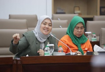 Wakil Ketua Komisi VII Chusnunia Chalim
