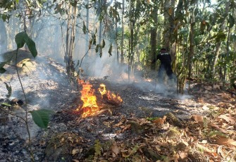 BNPB Tangani Karhutla di Riau