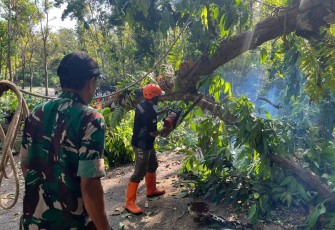 TNI dan BPBD Trenggalek Turun Tangan