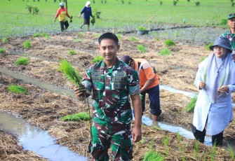 Dandim 0806/Trenggalek Menyatu dengan Petani