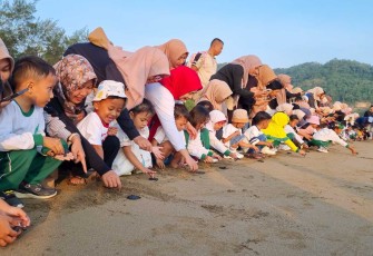 Lepas liarkan tukik di kawasan pantai Pancer Dorr, Kelurahan Ploso, Pacitan