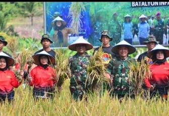 Danbrigif 4 Marinir Kolonel (Mar) Supriadi Tarigan saat panen raya padi di lahan ketahan pangan Yonif 9 Marinir, Jum'at (22/8)