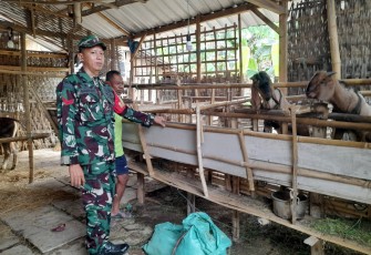 Babinsa Koramil Karangjati Berikan Motivasi Kepada Peternak Kambing di Wilayah Binaannya