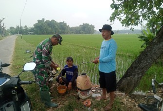 Babinsa Sidomulyo Dampingi Petani Laksanakan Penyemprotan Lahan Padi