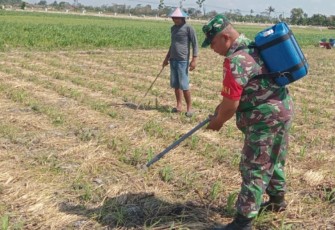 Pemupukan lahan pertanian warga binaan