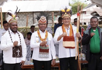 Wakil Menteri Transmigrasi Viva Yoga Mauladi