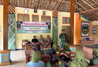 Peran Babinsa Di Wilayah Teritorial Dalam Peningkatan Kapasitas Linmas