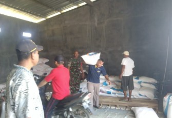 Pendampingan ketersediaan pupuk di wilayah desa binaan 