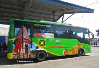 Foto Bus Trans Jatim 