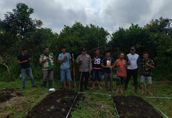 BUMDES Renah Kurung Tanam Jagung Satu Hektar 