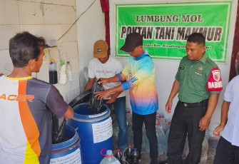 Pelatihan pembuatan MOL